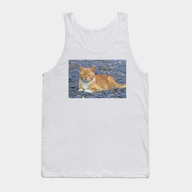 Kitty Friend Tank Top by likbatonboot